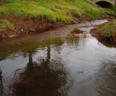 P7030051