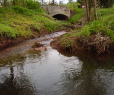 P7030052
