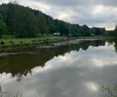 IMG_0203